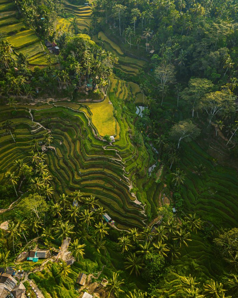 slider-bali-2.jpeg